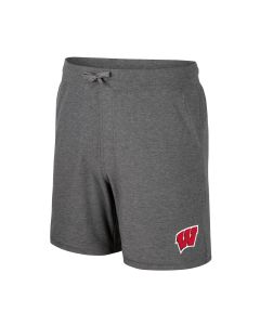 Wisconsin Badgers Colosseum Gray Skynet Shorts