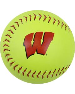 Wisconsin Badgers Yellow Softball