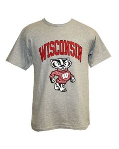 Wisconsin Badgers Gray Youth Arch Full Bucky T-Shirt